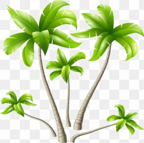 Hand-painted Cartoon Rubber Tree - Coconut Arecaceae Tree PNG
