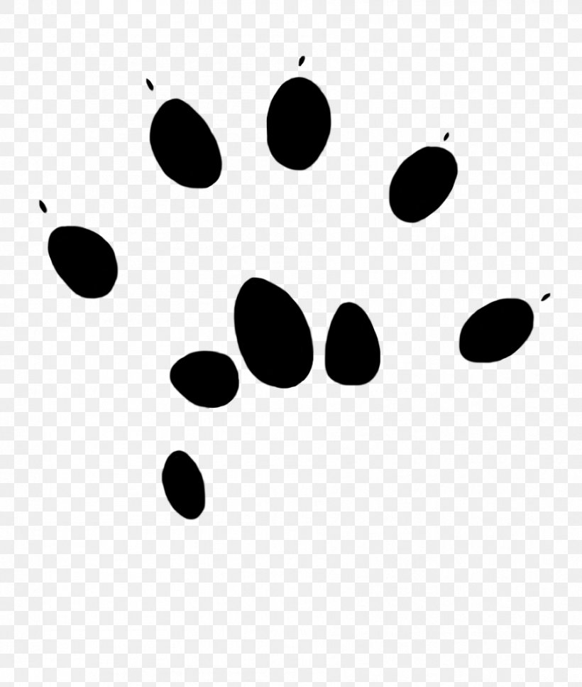 Computer Mouse Paw Footprint Clip Art, PNG, 901x1063px, Mouse, Animal, Animal Track, Black, Black And White Download Free