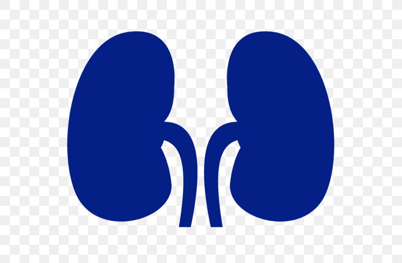 Dialysis: Hemodialysis (DVD) Kidney Transplantation, PNG, 640x537px, Dialysis, Azure, Blue, Cobalt Blue, Electric Blue Download Free