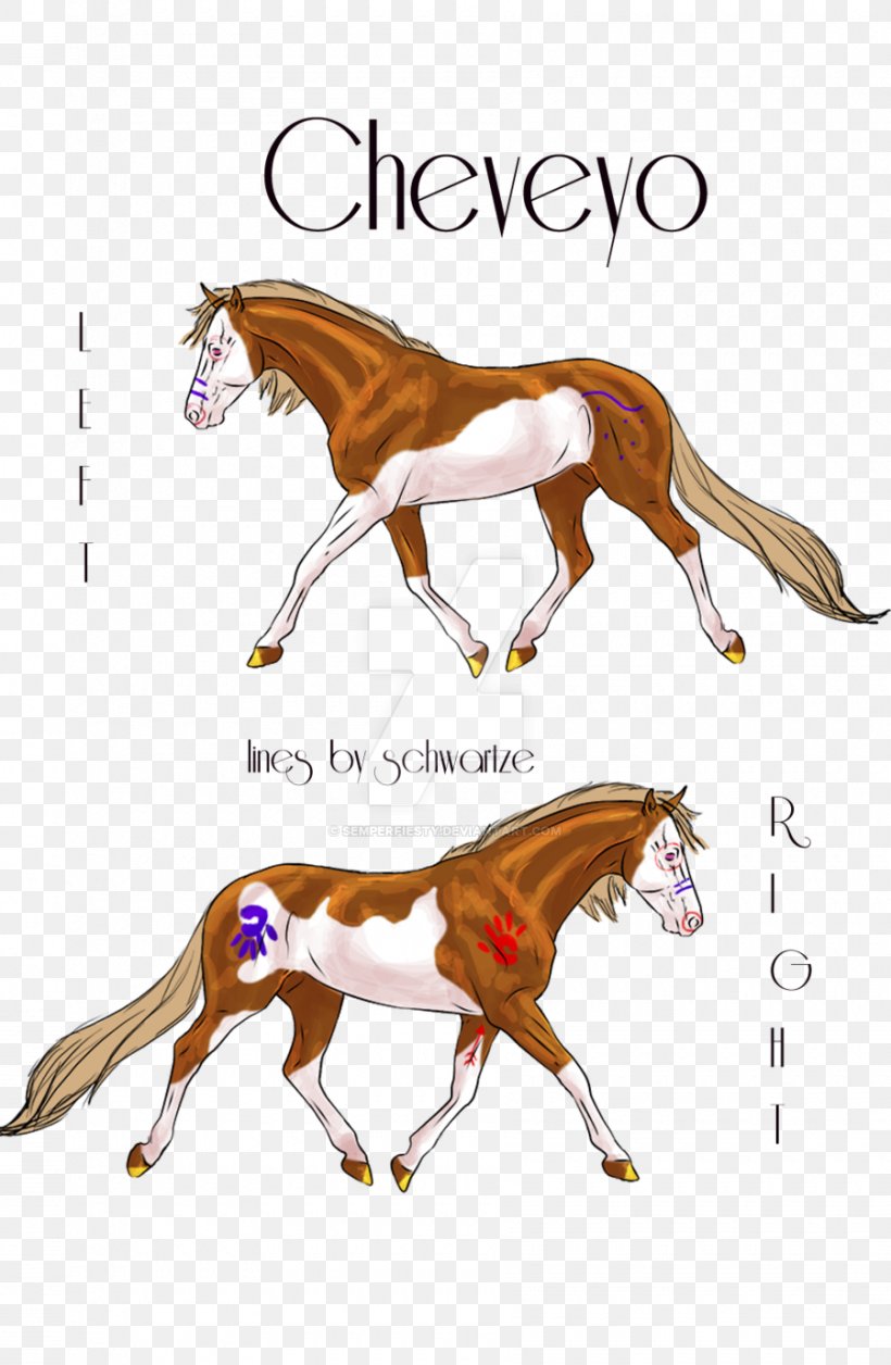 Mustang Foal Stallion Colt Halter, PNG, 900x1379px, Mustang, Carnivoran, Carnivores, Cartoon, Colt Download Free