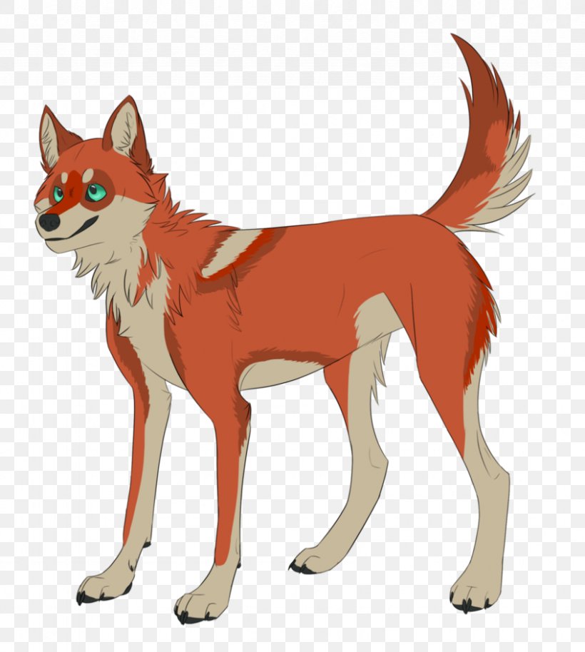 Red Fox Dog Dhole Jackal Red Wolf, PNG, 846x943px, Red Fox, Carnivoran, Cartoon, Character, Dhole Download Free