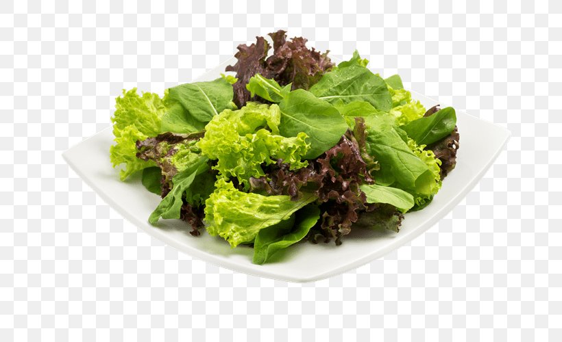 Romaine Lettuce Caesar Salad Vegetarian Cuisine Bauru, PNG, 750x500px, Romaine Lettuce, Bauru, Bread, Caesar Salad, Cheese Download Free
