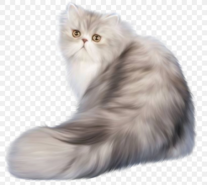 Cat Kitten Animation Clip Art, PNG, 1350x1208px, Cat, Animal, Animation, Asian, Asian Semi Longhair Download Free