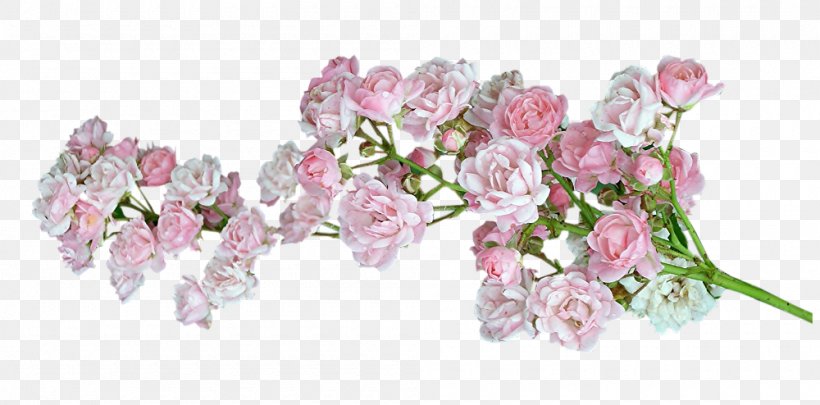 Cut Flowers, PNG, 1000x494px, Flower, Artificial Flower, Blossom, Body Jewelry, Cut Flowers Download Free