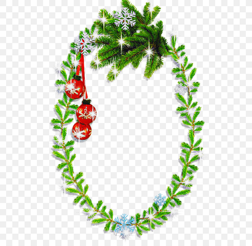 Holly, PNG, 565x800px, Leaf, Flower, Holly, Lei, Plant Download Free