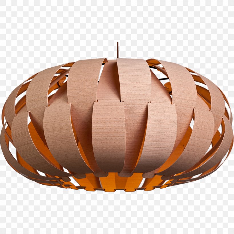 Electric Light Lamp Shades Incandescent Light Bulb, PNG, 1000x1000px, Light, Ceiling, Ceiling Fixture, Copper, Electric Light Download Free