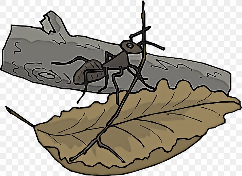 Insect Leaf Pest Clip Art Line Art, PNG, 960x699px, Insect, Leaf, Line Art, Pest Download Free