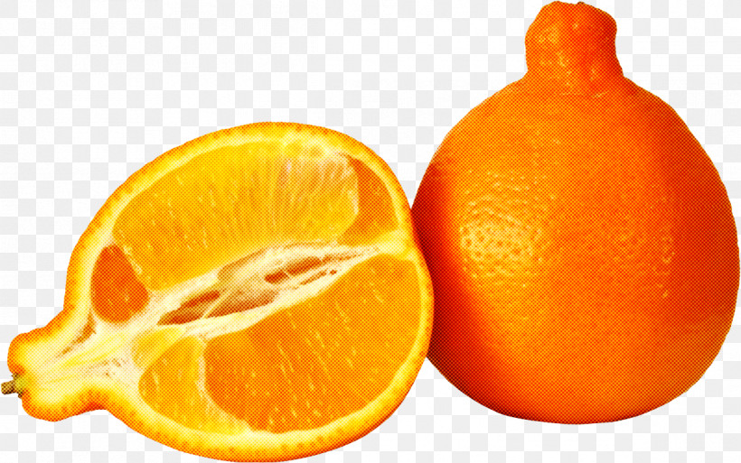 Tangelo Clementine Tangerine Fruit Tangerine, PNG, 1193x747px, Tangelo, Bitter Orange, Blood Orange, Citrus, Clementine Download Free