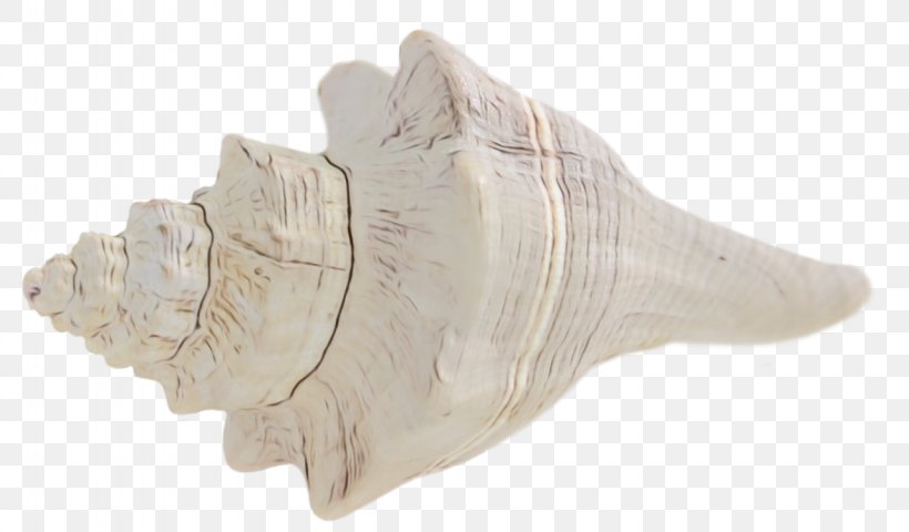 Trumpet Shankha, PNG, 1280x750px, Trumpet, Conch, Seashell, Shankha Download Free