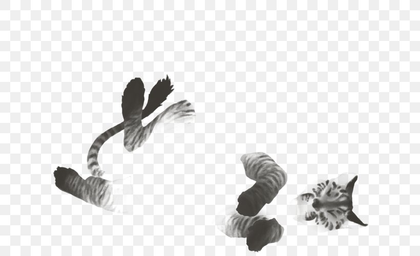 White, PNG, 640x500px, White, Black And White, Feather, Monochrome, Tail Download Free