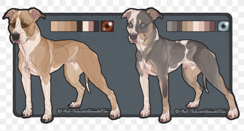 American Pit Bull Terrier Dog Breed Non-sporting Group, PNG, 1024x552px, American Pit Bull Terrier, Breed, Carnivoran, Dog, Dog Breed Download Free