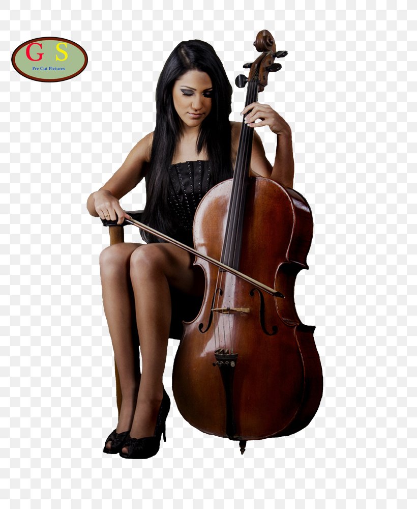 Bass Violin Double Bass Violone Cello Viola, PNG, 800x1000px, Watercolor, Cartoon, Flower, Frame, Heart Download Free