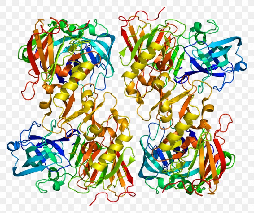 Beta-secretase 2 Protein Serpin Beta-secretase 1 Semenogelin, PNG, 967x812px, Watercolor, Cartoon, Flower, Frame, Heart Download Free