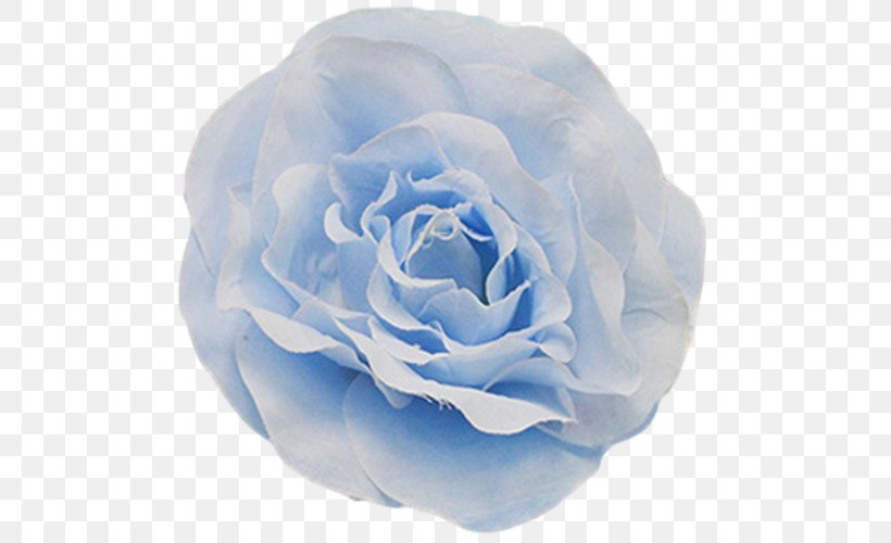 Centifolia Roses Blue Rose Garden Roses Floribunda Petal, PNG, 500x500px, Centifolia Roses, Aqua, Baby Blue, Blue, Blue Rose Download Free