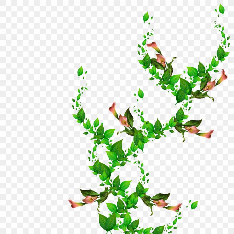 Clip Art Plant Stem Leaf Flowering Plant, PNG, 3600x3600px, Plant Stem, Branch, Flower, Flowering Plant, Leaf Download Free