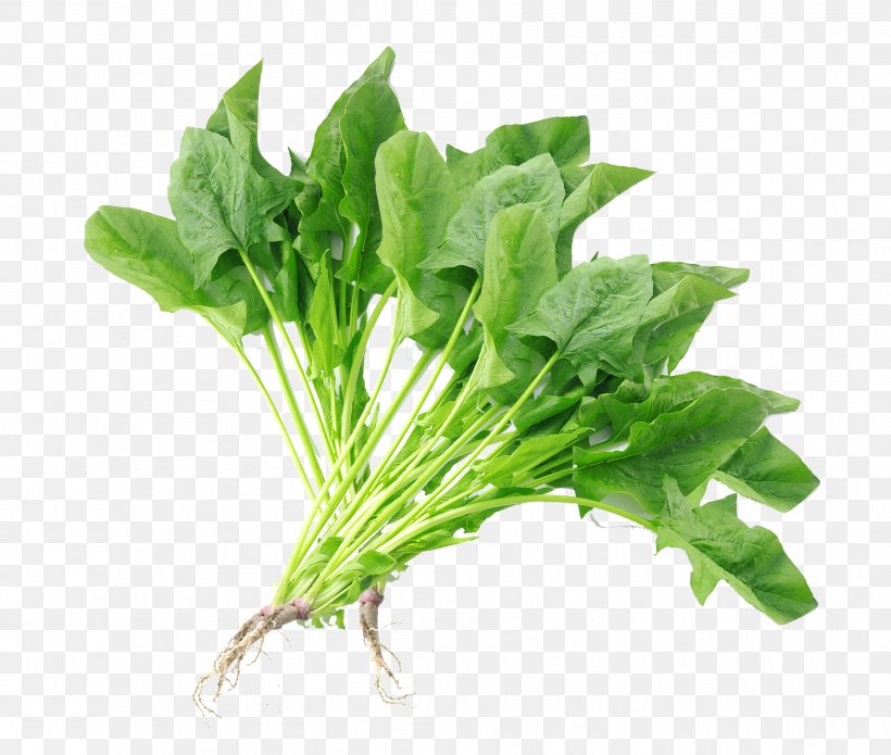 Spinach Chard Vegetable Komatsuna, PNG, 1986x1685px, Spinach, Chard, Choy Sum, Designer, Food Download Free