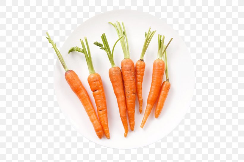 Baby Carrot Carrot Soup 600 Vector 54 Cards, PNG, 1024x683px, 54 Cards, 600 Vector, Carrot, Baby Carrot, Carrot Soup Download Free