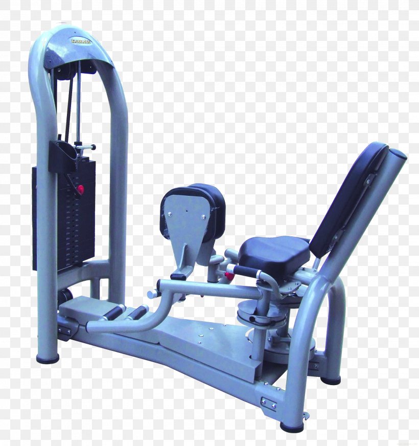 Bodybuilding Exercise Equipment Physical Fitness Fitness Centre, PNG, 2272x2418px, Bodybuilding, Elliptical Trainer, Exercise Equipment, Exercise Machine, Fitness Centre Download Free