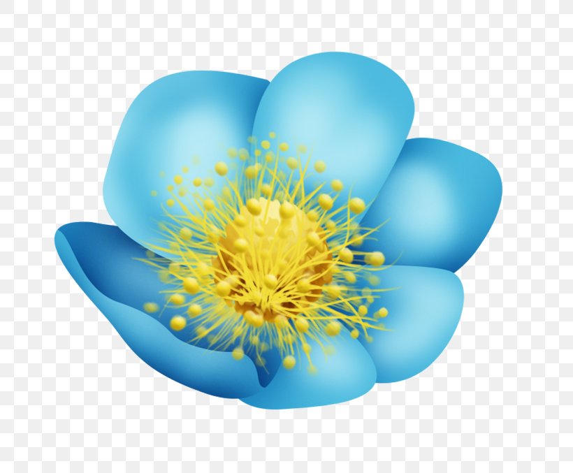 Desktop Wallpaper Flower Petal Clip Art, PNG, 700x677px, Flower, Animaatio, Blog, Com, Garden Roses Download Free