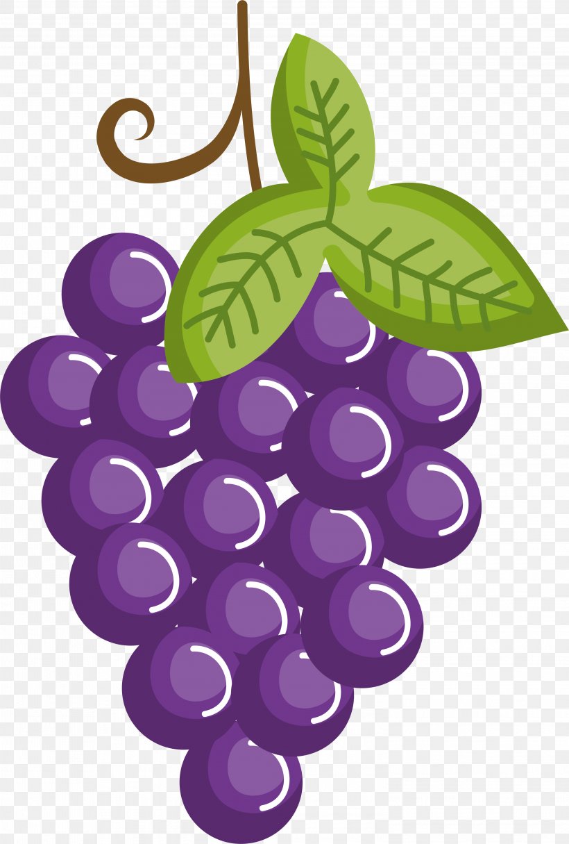 Grape Drawing Cartoon Fruit, PNG, 3001x4449px, Grape, Cartoon, Drawing, Flowering Plant, Food Download Free