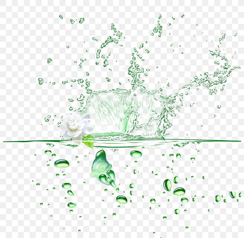 Drop Water, PNG, 800x800px, Drop, Area, Diagram, Grass, Green Download Free