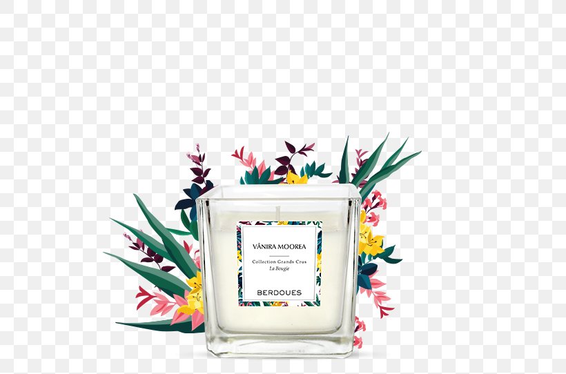 Mo'orea Tahiti Perfume Vanilla Tahitensis, PNG, 668x542px, Tahiti, Brazil, Candle, Combustion, Dietary Supplement Download Free