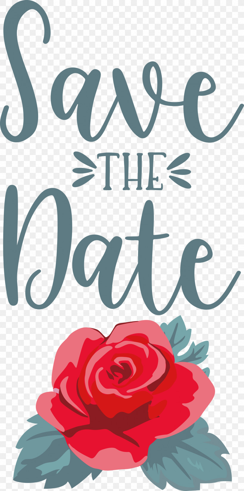 Save The Date Wedding, PNG, 1493x3000px, Save The Date, Cut Flowers, Floral Design, Flower, Garden Download Free