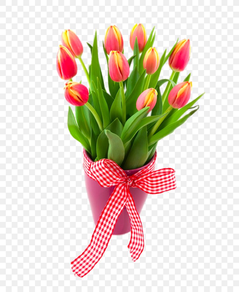 Tulip Flowerpot, PNG, 667x1000px, Tulip, Artificial Flower, Crock, Cut Flowers, Floral Design Download Free