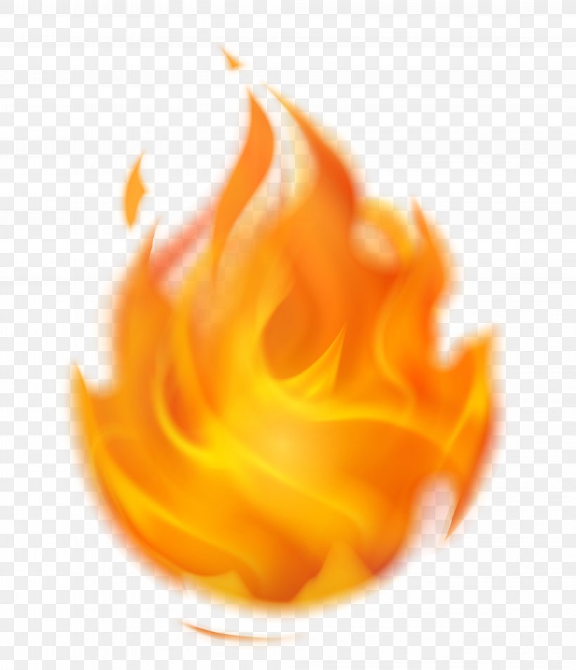 Fire Flame Clip Art, PNG, 4125x4804px, Fire, Close Up, Flame, Flavor, Flower Download Free