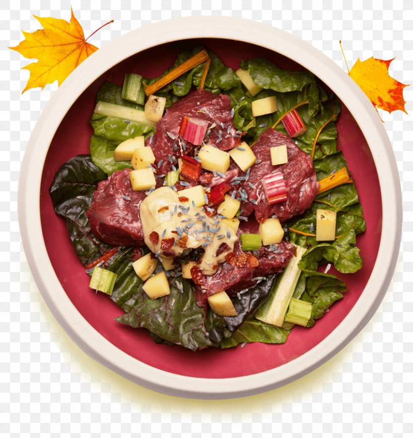Greek Salad Dog Spinach Salad Nutrient Vegetarian Cuisine, PNG, 850x902px, Greek Salad, Dish, Dog, Fattoush, Feta Download Free