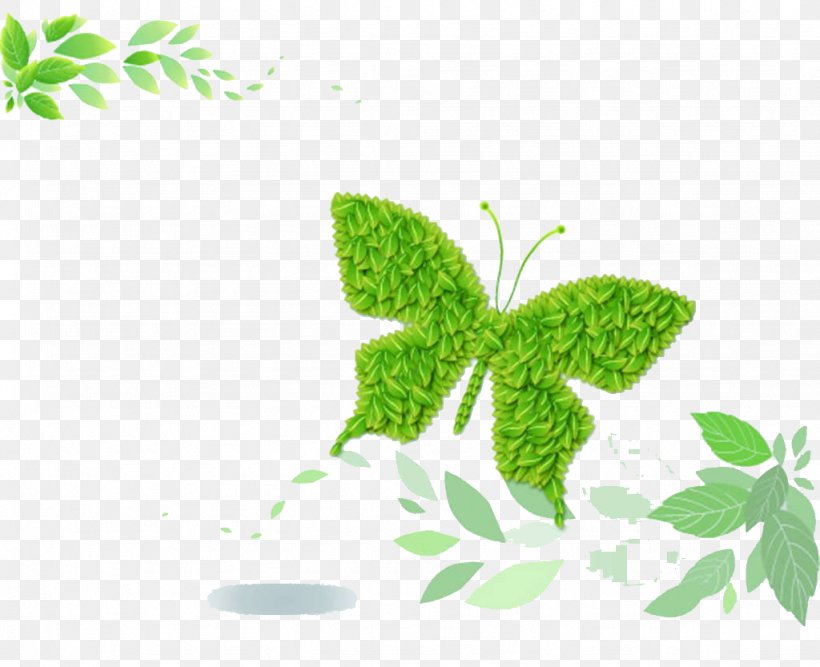 Green, PNG, 1024x833px, Green, Branch, Butterfly, Color, Flora Download Free