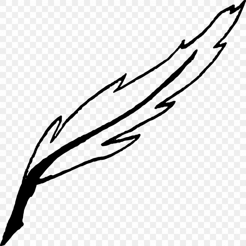 Twig Plant Stem Leaf Clip Art, PNG, 1734x1734px, Twig, Beak, Black, Black And White, Black M Download Free