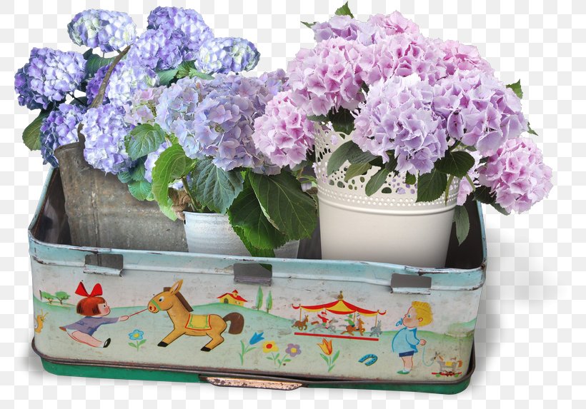 Flower Purple, PNG, 800x573px, Flower, Artificial Flower, Cornales, Cut Flowers, Floral Design Download Free