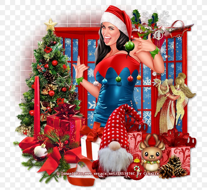 Christmas Ornament Tradition New Year Character, PNG, 750x750px, Christmas Ornament, Ansichtkaart, Character, Christmas, Christmas Decoration Download Free