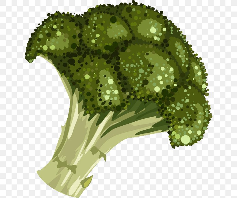 Clip Art Sprouting Broccoli Drawing, PNG, 650x687px, Broccoli, Animation, Broccoli Slaw, Cartoon, Cauliflower Download Free