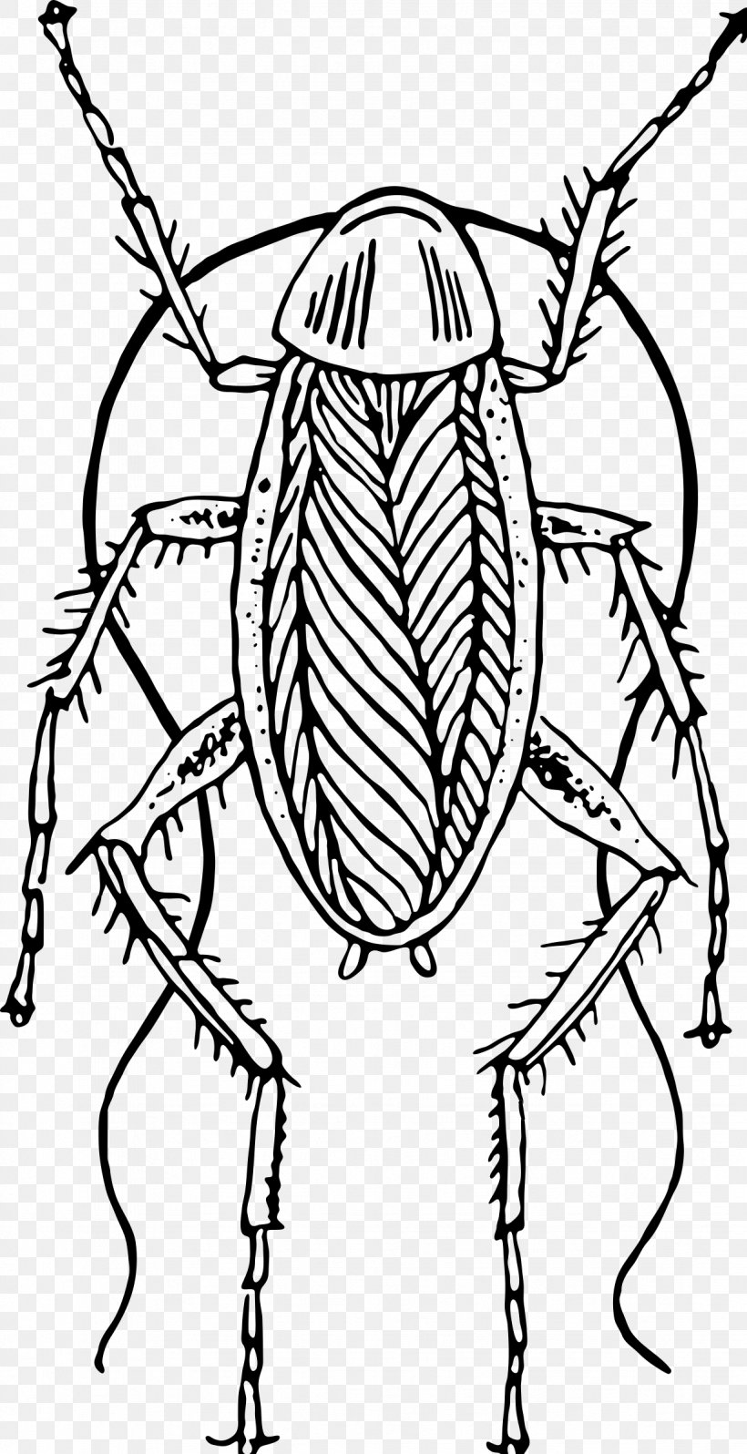 Cockroach Clip Art, PNG, 1233x2400px, Cockroach, Animal, Artwork, Black, Black And White Download Free