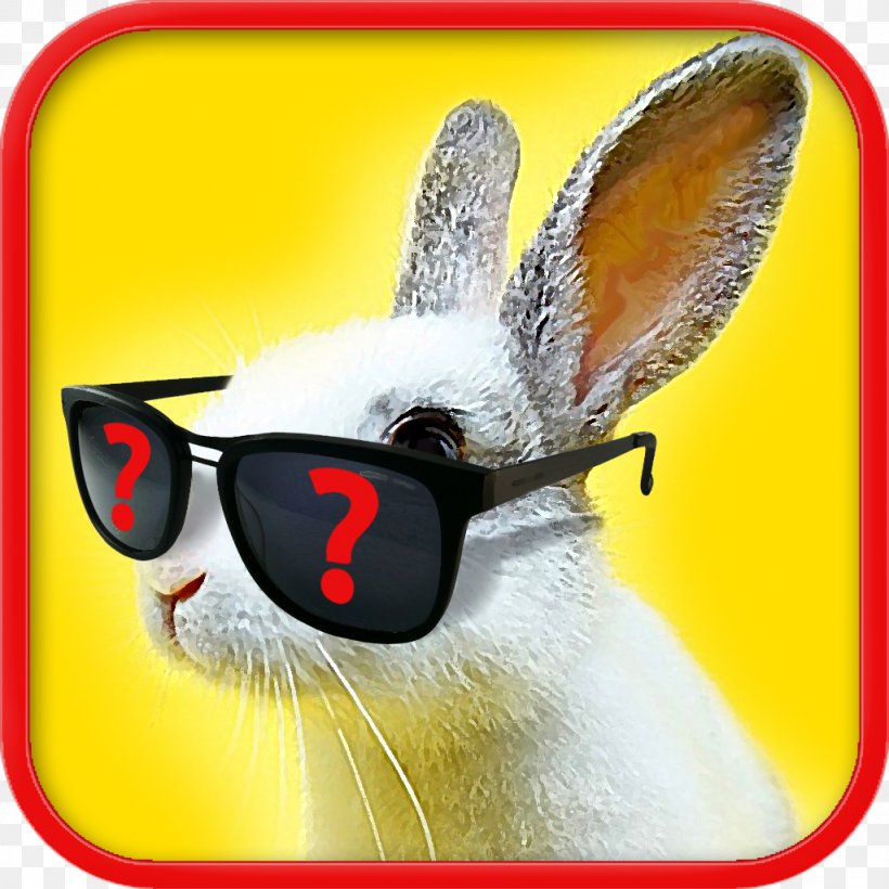 Domestic Rabbit Easter Bunny Glasses Hare, PNG, 1024x1024px, Domestic Rabbit, Easter, Easter Bunny, Eyewear, Glasses Download Free