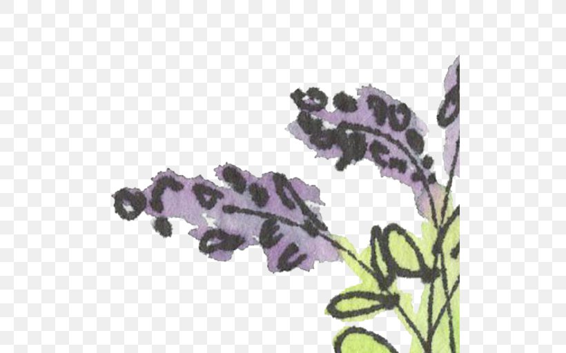 English Lavender Violet Clip Art, PNG, 512x512px, English Lavender, Color, Flower, Flowering Plant, Jewellery Download Free