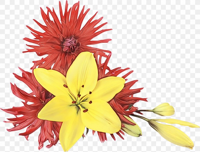 Flower Yellow Petal Plant Flowering Plant, PNG, 1600x1219px, Watercolor, Cut Flowers, Daisy Family, Flower, Flowering Plant Download Free