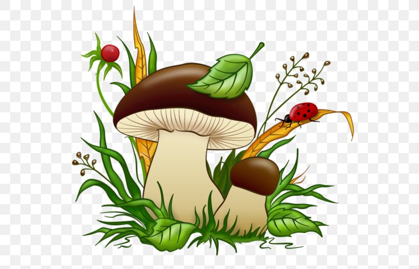 Lactarius Deliciosus Boletus Edulis Edible Mushroom Fungus, PNG, 600x527px, Lactarius Deliciosus, Boletus, Boletus Aereus, Boletus Edulis, Boletus Pinophilus Download Free