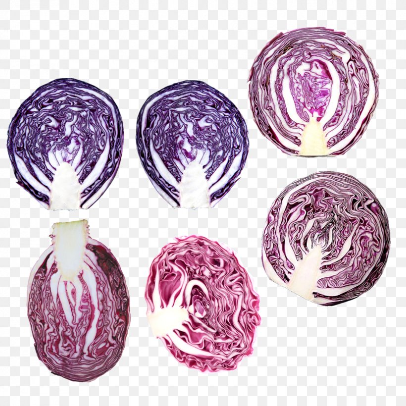 Red Cabbage Vegetable Purple, PNG, 827x827px, Cabbage, Brassica Oleracea, Dish, Food, Magenta Download Free