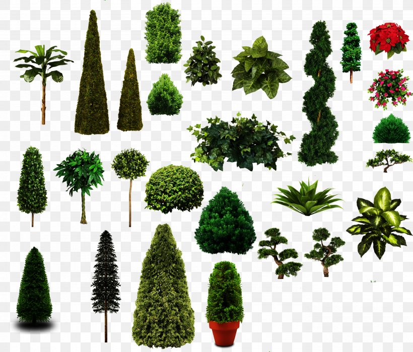Tree, PNG, 2771x2365px, Tree, Biome, Christmas Decoration, Christmas Ornament, Christmas Tree Download Free