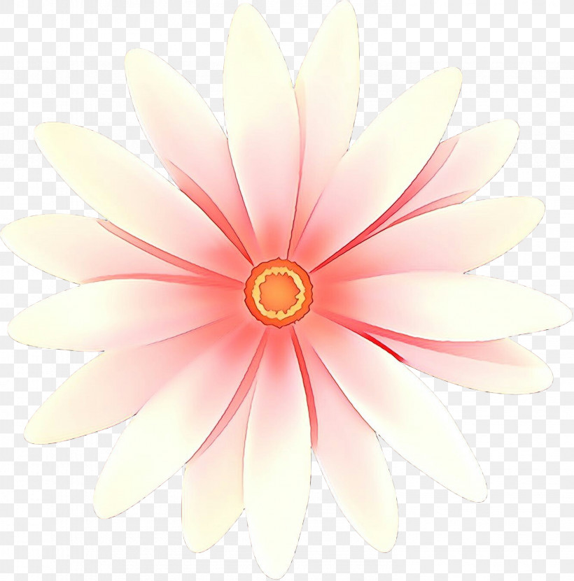 Petal Pink Flower Yellow Gerbera, PNG, 2958x3000px, Petal, Daisy Family, Flower, Gerbera, Material Property Download Free
