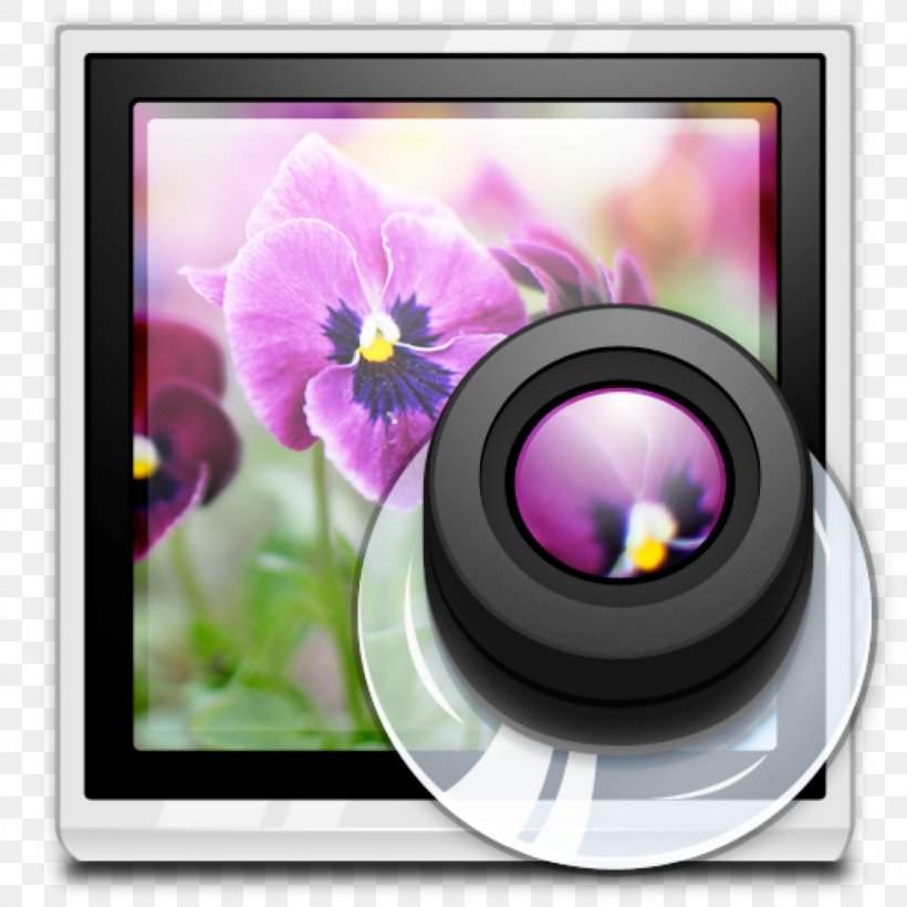 Camera Lens Violet Lilac Purple, PNG, 1024x1024px, Camera Lens, Camera, Cameras Optics, Flower, Lens Download Free