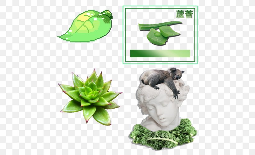 Drawing Image Editing Thallophyte, PNG, 500x500px, Drawing, Aesthetics, Algae, Aloe Vera, Editing Download Free