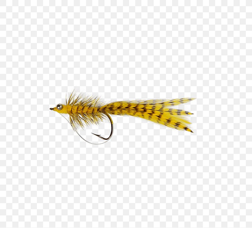 Fishing Bait Roundworms Yellow Woolly Bugger, PNG, 555x741px, Fishing, Bait, Feather, Fish, Fishing Bait Download Free