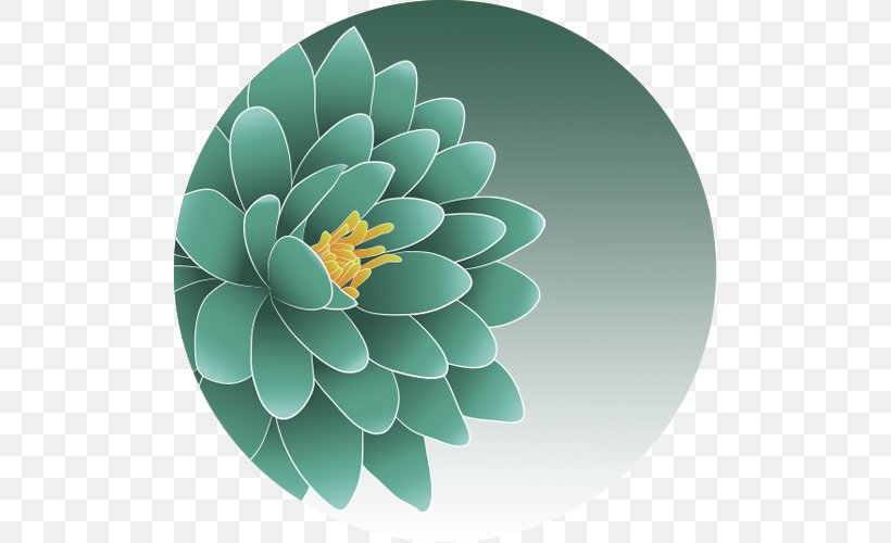 Turquoise, PNG, 500x500px, Turquoise, Flower, Petal, Plant Download Free