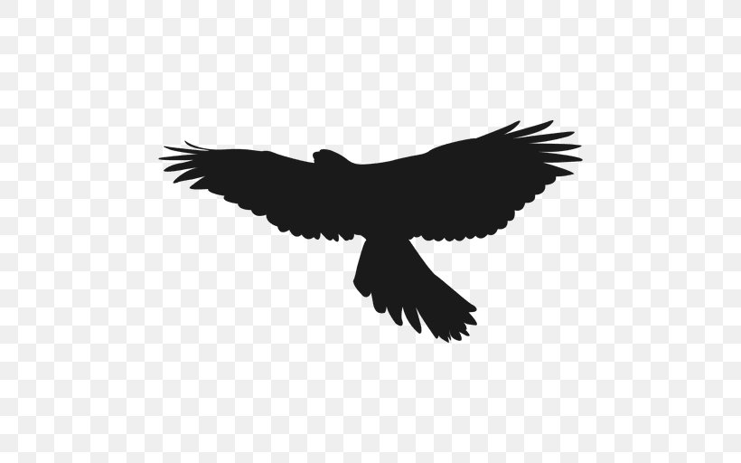 Warsaw Bird Silhouette Clip Art, PNG, 512x512px, Warsaw, Accipitriformes, Bald Eagle, Beak, Bird Download Free