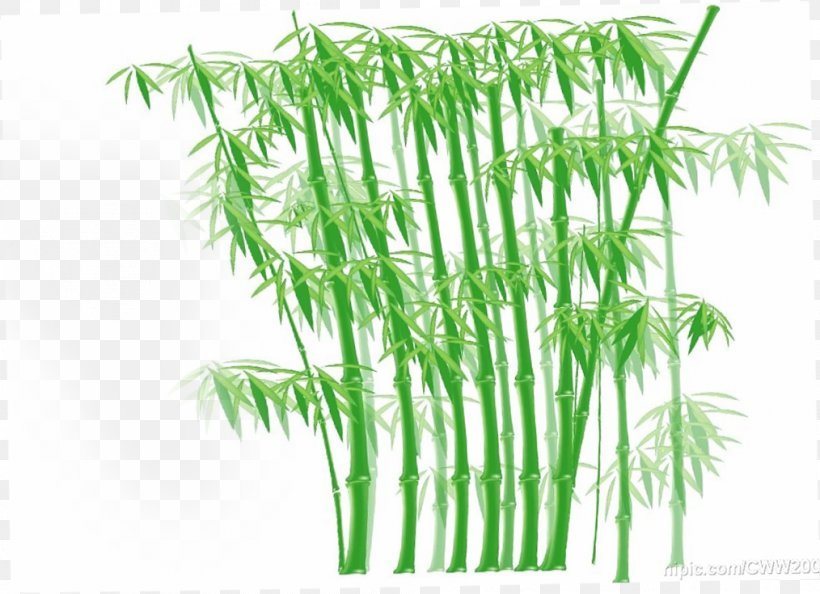 Bamboo Euclidean Vector Clip Art, PNG, 1014x735px, Bamboo, Flowerpot, Grass, Grass Family, Green Download Free