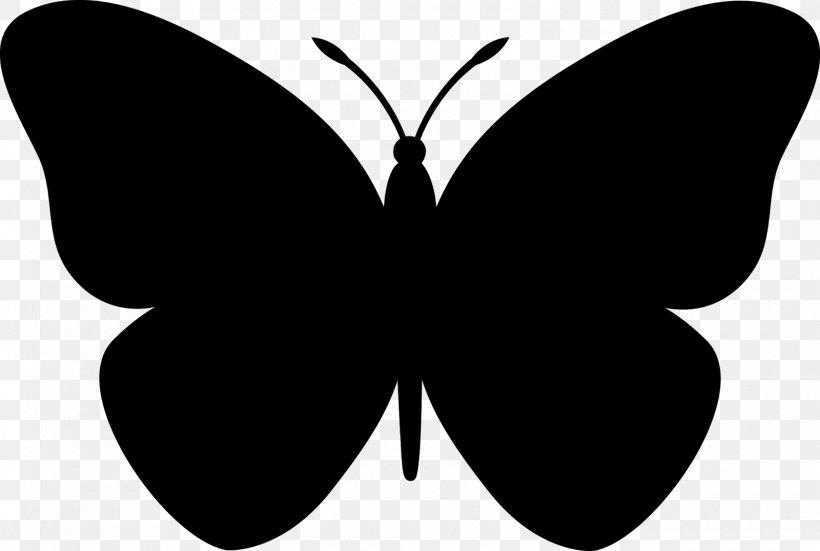 Butterfly Silhouette Stencil Clip Art, PNG, 1600x1076px, Butterfly, Art, Arthropod, Black, Black And White Download Free